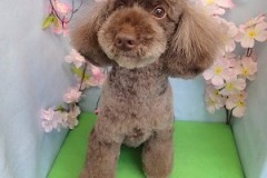 『これから頑張って伸ばすぞー！』