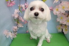 『見たことない子はどうも緊張しちゃうわ。』