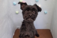 『スッキリさっぱり☆』