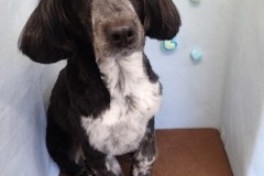 『いつものスッキリスタイル☆』