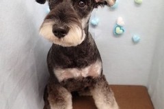 『スッキリしましたー！』