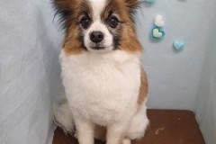 『スッキリボリュームダウンしてもらったよ！』