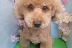 『サッパリしたー♪』