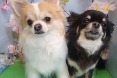 『キレイになりました♪』