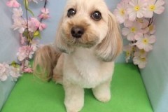 『スッキリ☆可愛くなった♪』