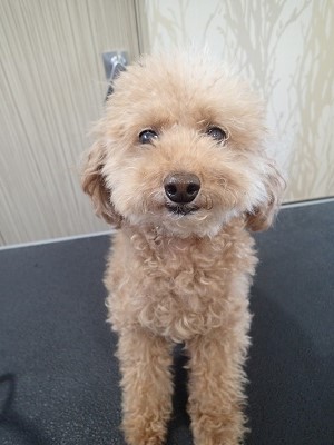 『今日は短くお願いします！！』