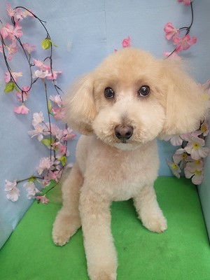 『体はスッキリ☆』