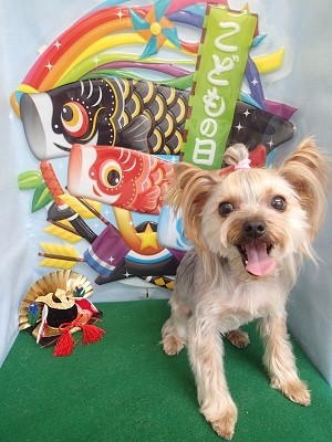 『ちょー気持ちよかった！！』