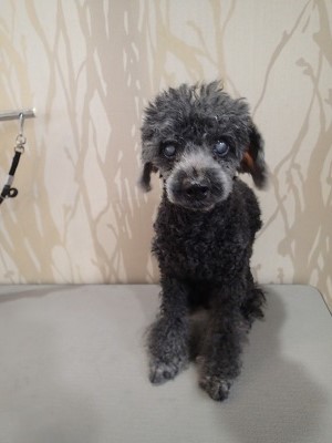 『いつもみたいにしてね！』