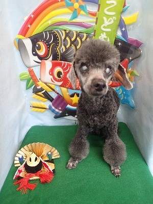 『スッキリさらさらになった！！』