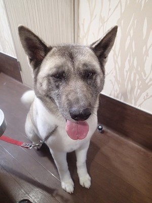 『あースッキリした！！』