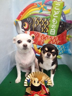 『今日も最高だったわ♪』