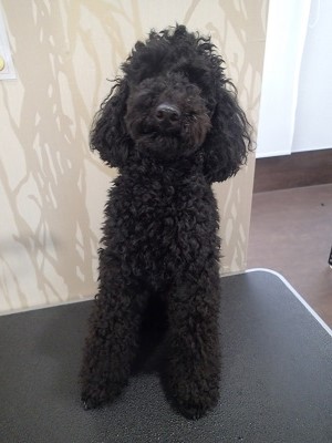 『一か月でも結構伸びるんだよねー』