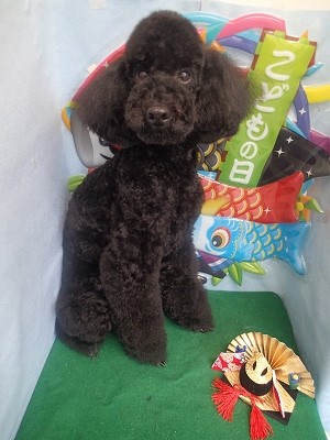 『スッキリしてもらいました！』