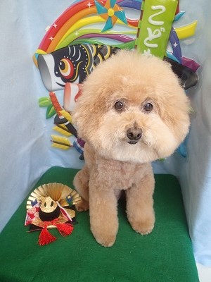 『真ん丸でしょ♪』