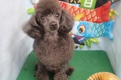 『可愛くなったでしょ♪』