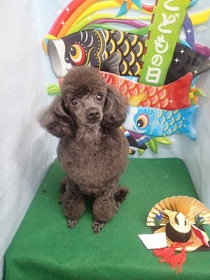 『可愛くなったでしょ♪』