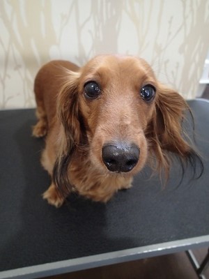 『久しぶりね！元気だった？』