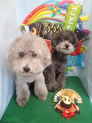 『今回もふわふわです♪』