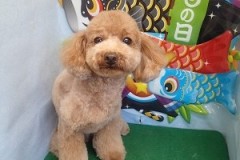 『ハート作ってもらったの！可愛いよ！！』