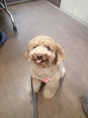 『わくわくするなー♪』