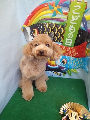 『ハート作ってもらったの！可愛いよ！！』