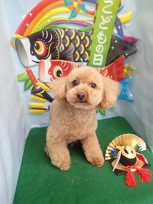 『雨だねぇ。気分乗らないねー』