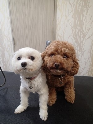 『レッスン風景見ると思い出すよね！』