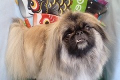 『ふわっふわでサラサラです♪最高ー』