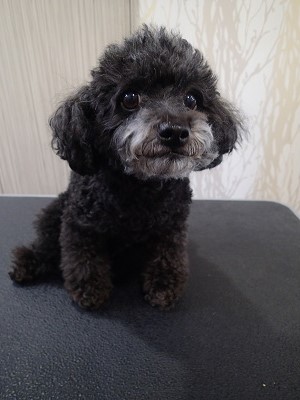 『いつもの感じでよろしくね!』