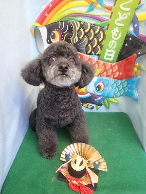 『今日もふわふわ♪』