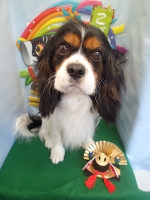 『真っ白になりました!!』