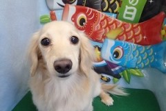 『カットもしてもらってスッキリしたわ♪』