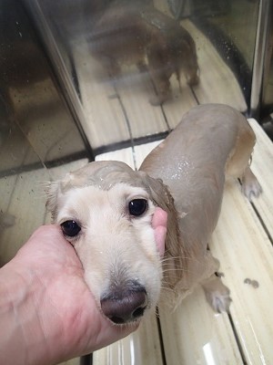 『パック気持ちいいわ~♪』