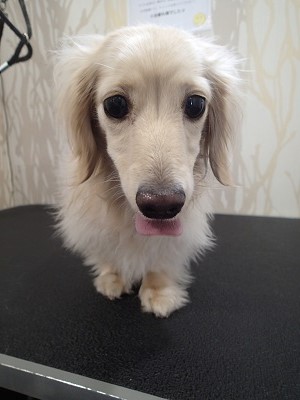 『長くて邪魔なところは切っちゃって!!』