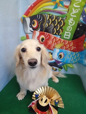 『カットしてもらってスッキリしたわ♪』