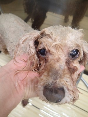 『変わらず気持ちいいねー!』