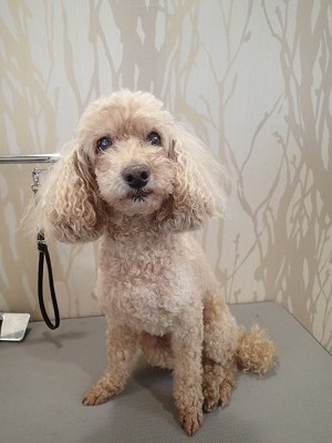 『今日もよろしくね!』