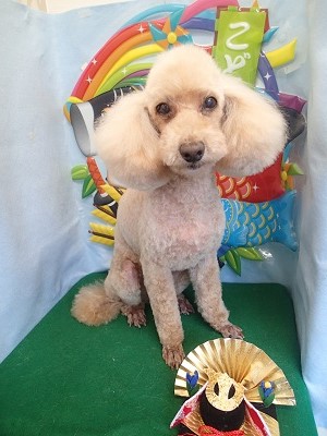 『サッパリしてもらいました!』