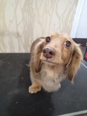 『今日はシャンプーでね☆』