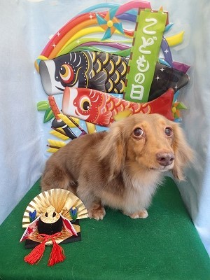 『スッキリさらさら♪』