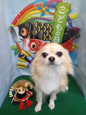 『サラサラになりました!』