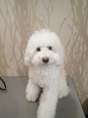 『スッキリイメチェン希望なんですが。』