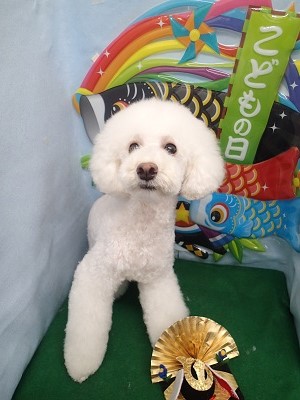 『ど、どうかな？？』