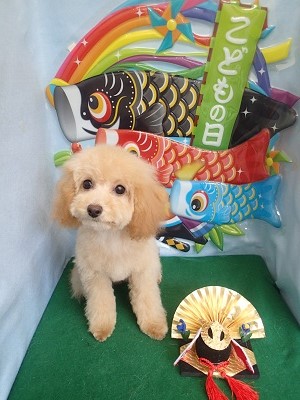 『いつも以上にふわふわな気がする♪』