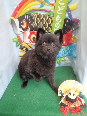 『スッキリしましたー♪』