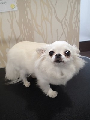 『しっかり洗ってよね！』