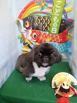 『すっきりしたぁ♪』