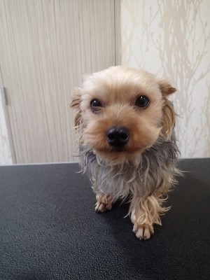 『今回は長めに！』