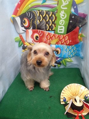 『サッパリしたー！！』